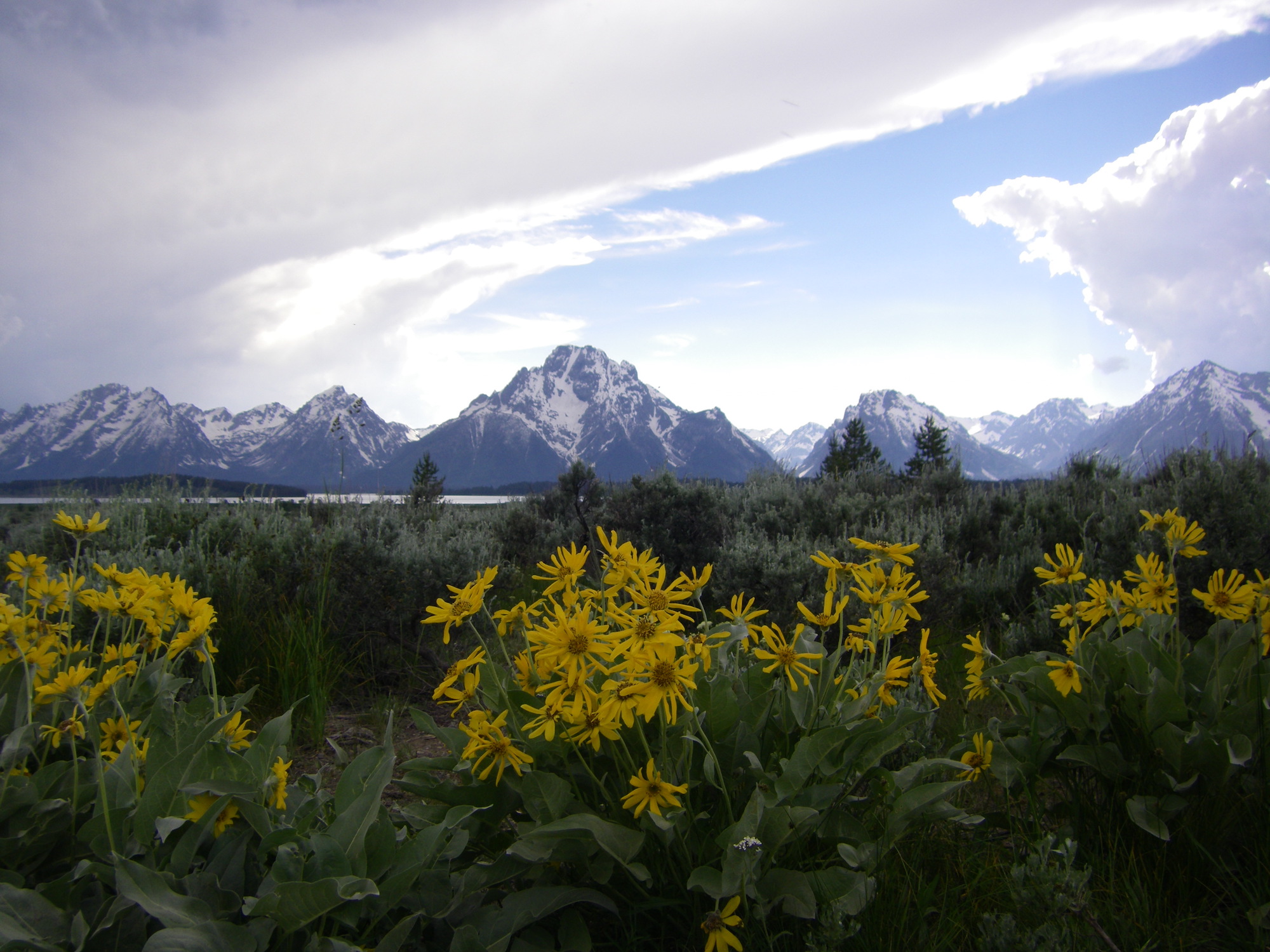 Grand Teton